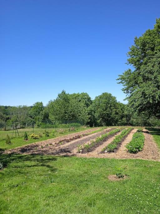 Montcharvot Les Jardins Des 3 Provinces- Gite מראה חיצוני תמונה