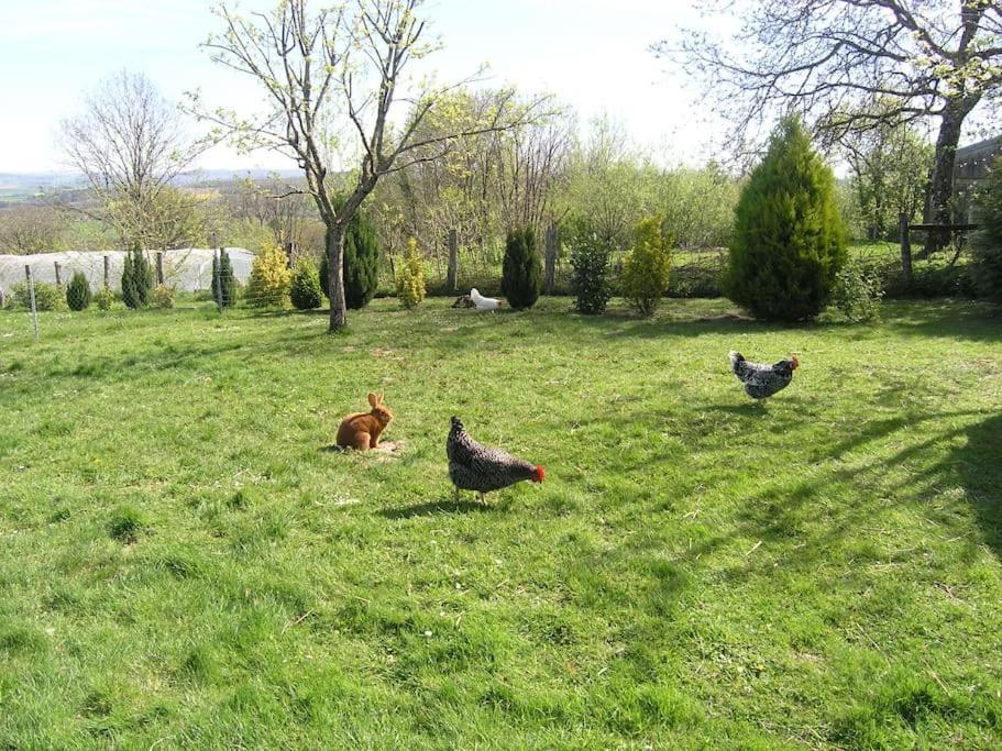 Montcharvot Les Jardins Des 3 Provinces- Gite מראה חיצוני תמונה