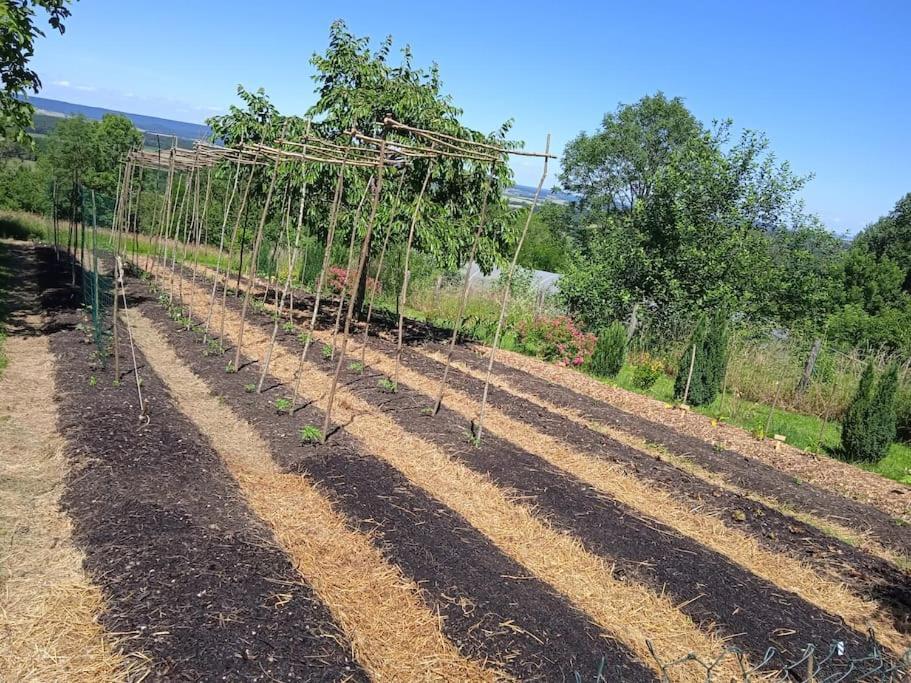 Montcharvot Les Jardins Des 3 Provinces- Gite מראה חיצוני תמונה