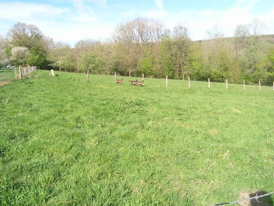 Montcharvot Les Jardins Des 3 Provinces- Gite מראה חיצוני תמונה